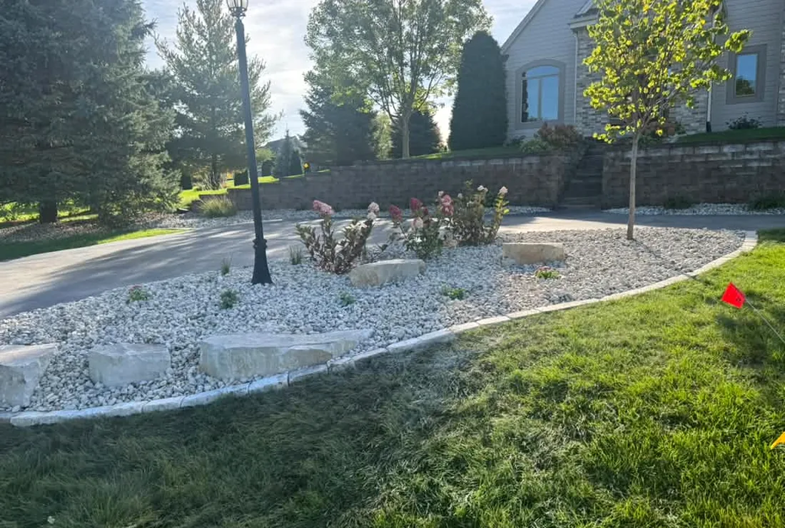 Young tree in a newly landscaped yard
